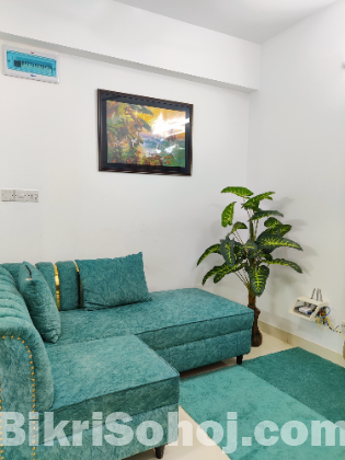 Furnished 2 Bedroom Flat RENT in Bashundhara